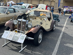 Cruise In 2022