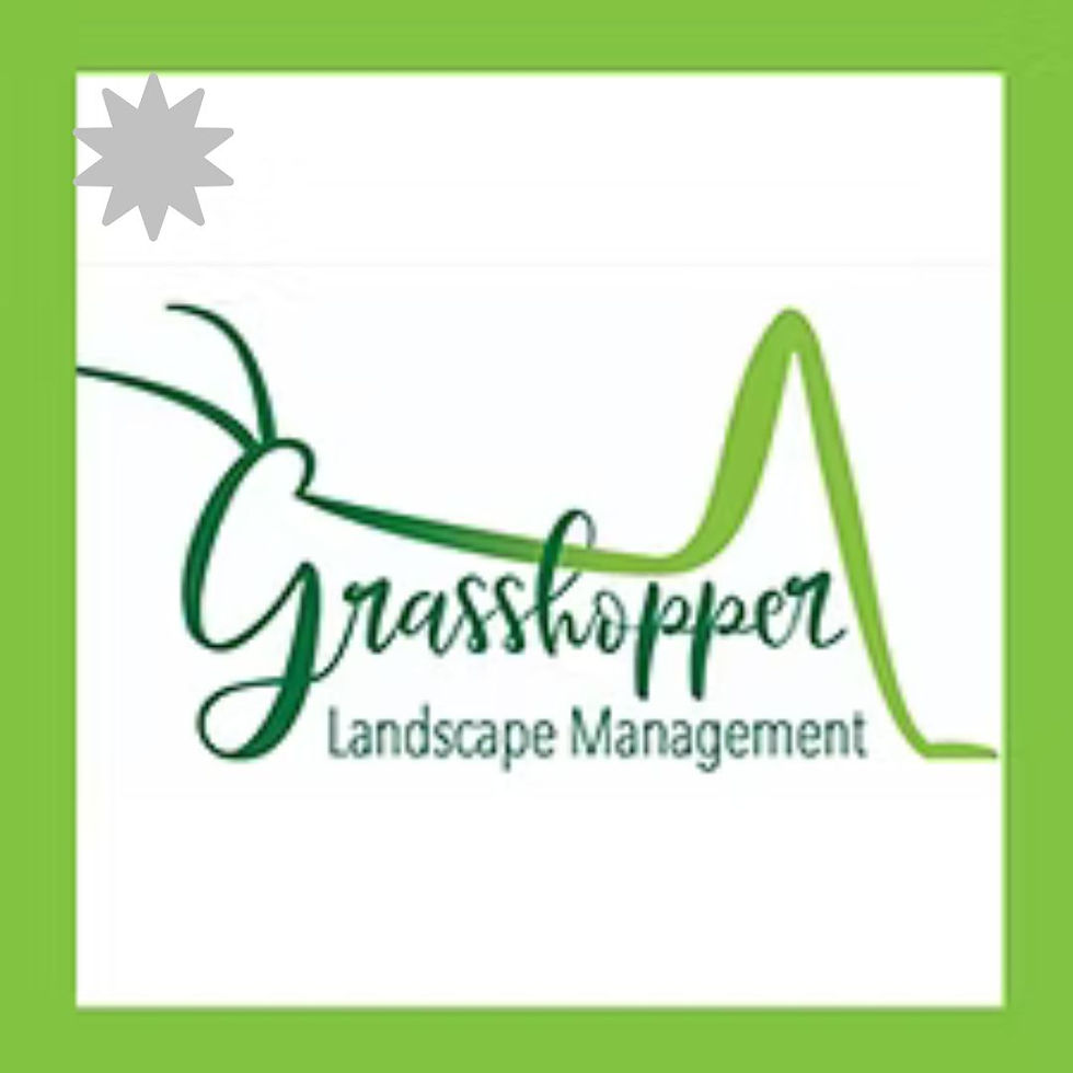 Grasshopper