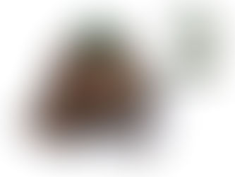 Sherlock Holmes: The Confidant 2