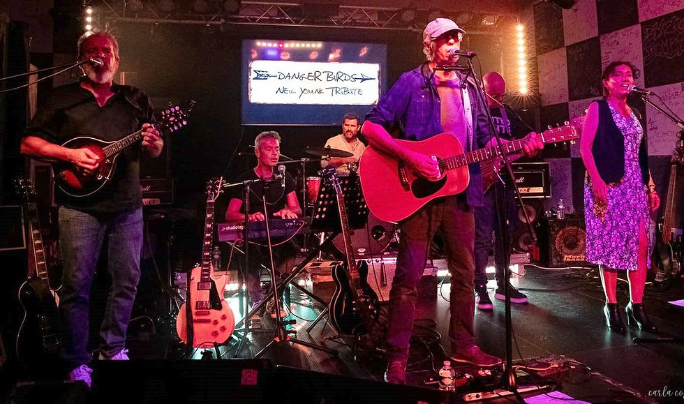 Danger Birds • Hommage à Neil Young