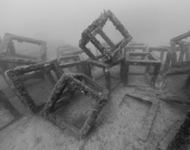 Nicolas Floc'h, Structures productives