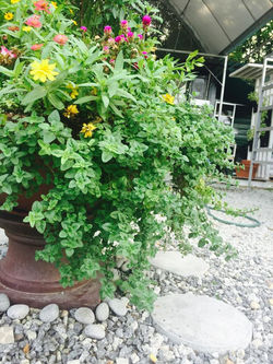 11182135_839945412740078_3627724373720916618_n