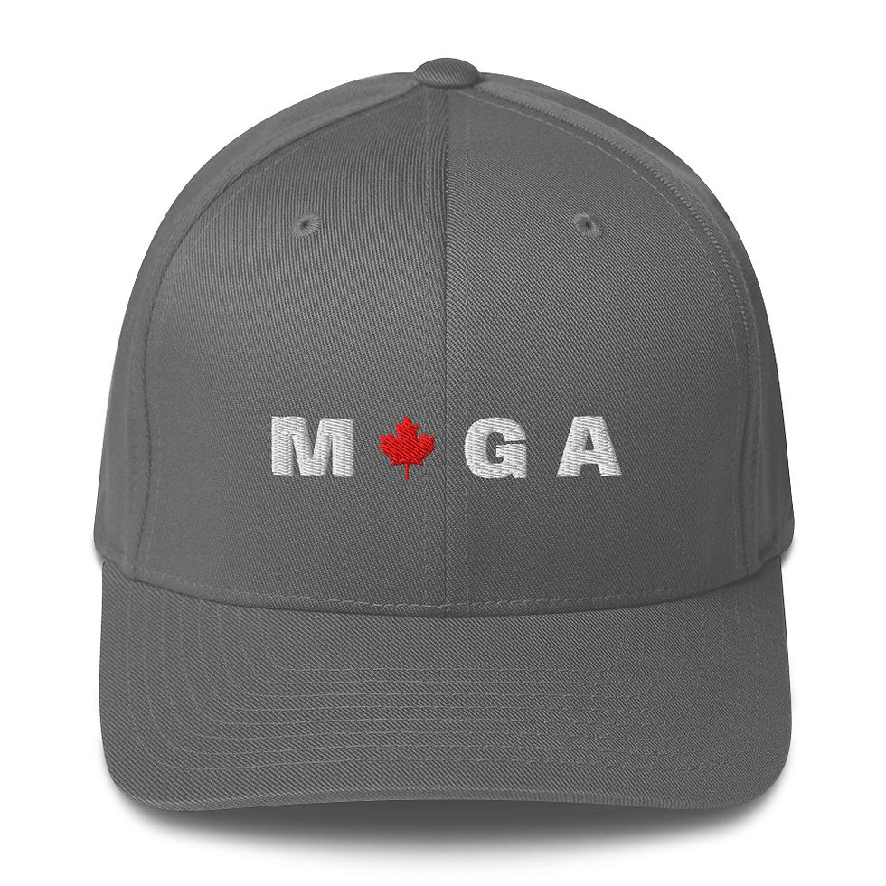 Thumbnail: MCGA FlexFit Hat