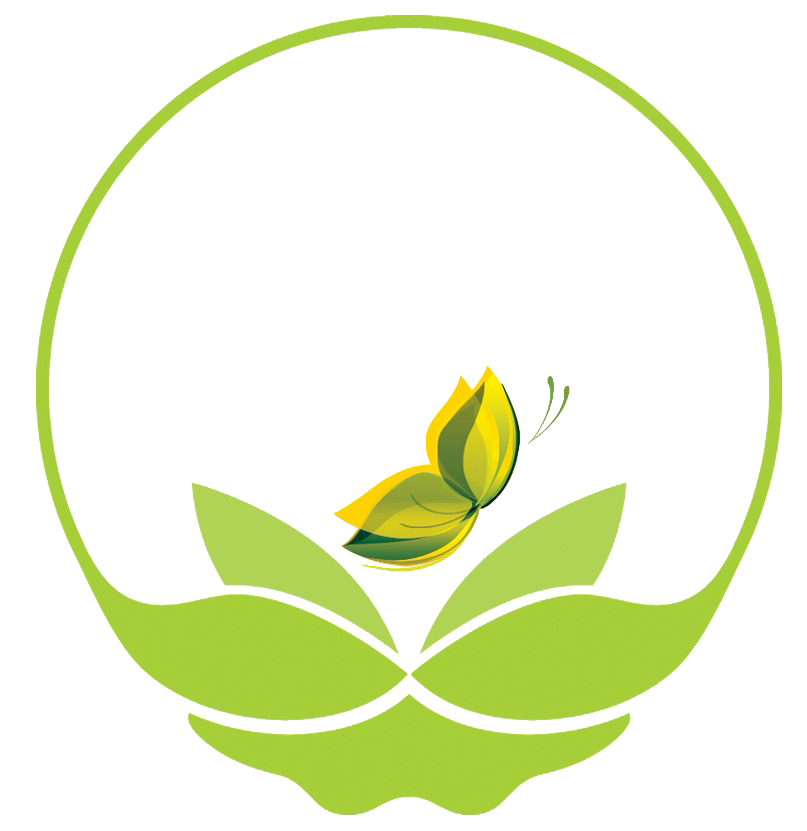 Envision Family Services, Llc