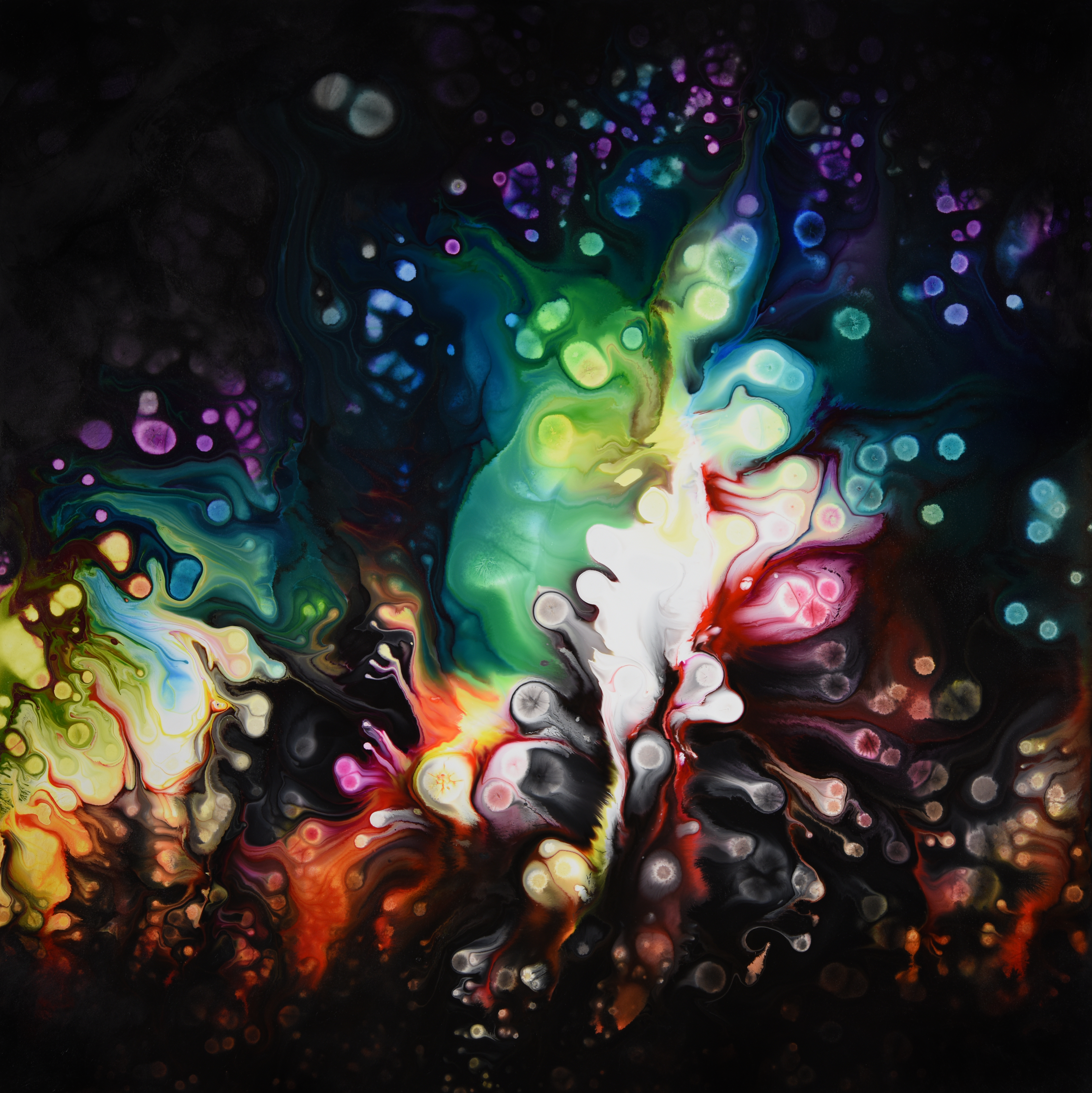 Pandimensional