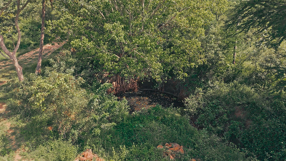 Still 2024-11-15 122645_1.18.1.jpg