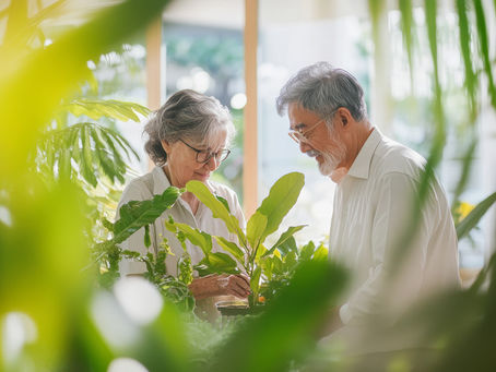 Financial commitments and pension planning
