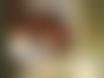 Gli archetipi di Edward Hopper 