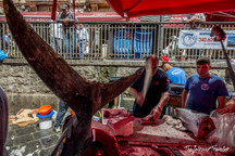The Piscaria market in Catania
