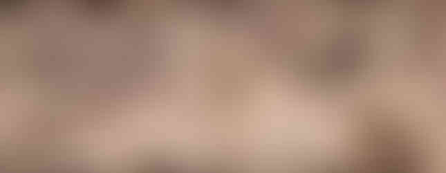 The Istanbul Archaeological Museum