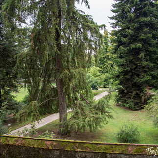 Biking on the city walls of Lucca
