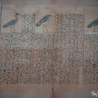 Papyrus at the Cairo Museum