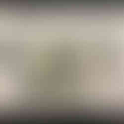 Ellis Island Immigration Museum