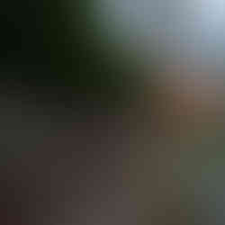 Biking on the city walls of Lucca