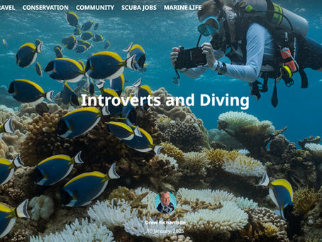 Introversi e diving