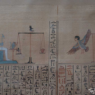 Papyrus at the Cairo Museum