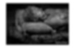 Lamentation of the Dead Christ