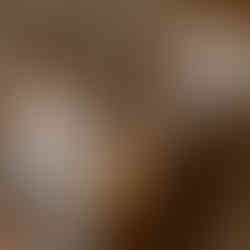 Bernini's Apollo and Daphne