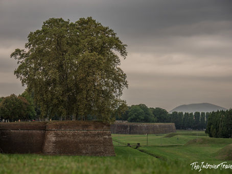The walls of Lucca