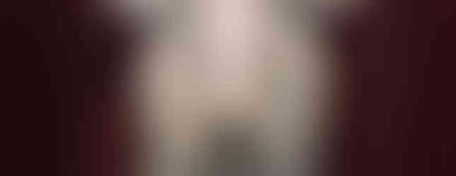 The Istanbul Archaeological Museum