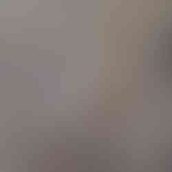 Papyrus at the Cairo Museum