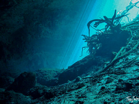Cenote Carwash, Tulum
