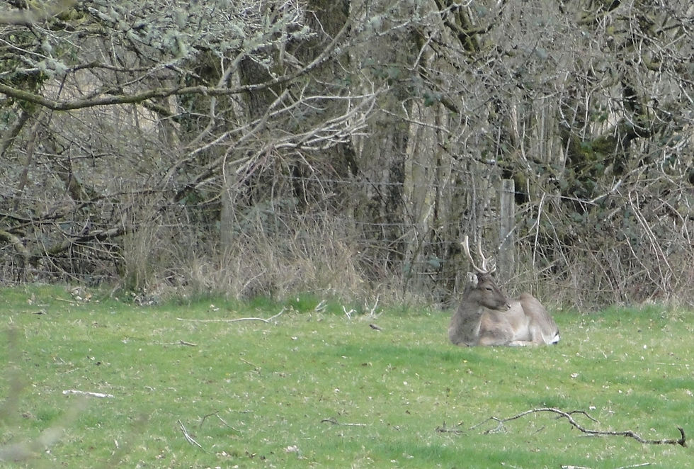 DSC06980.jpg