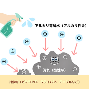 渋谷クリーン (2).png