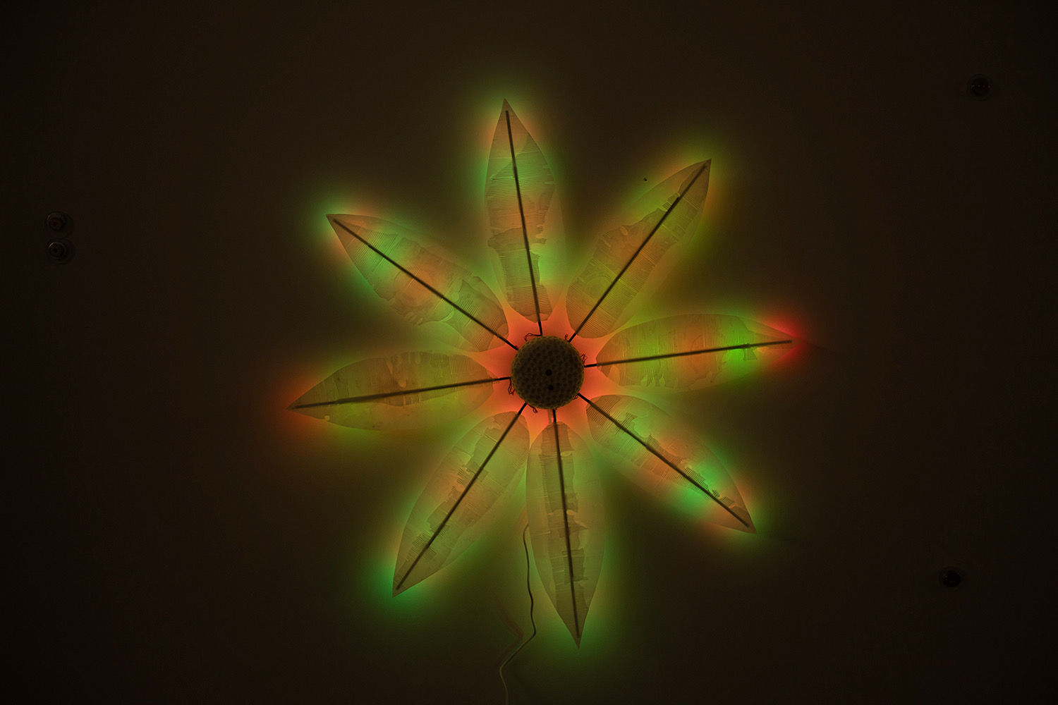 Mutual Light, Light Flower 3 by Daniel Miller