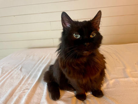 November 10- A breakthrough!