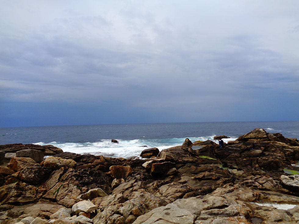 DSC02608.JPG