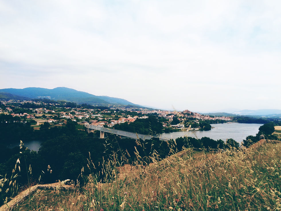 DSC02466 (1).JPG