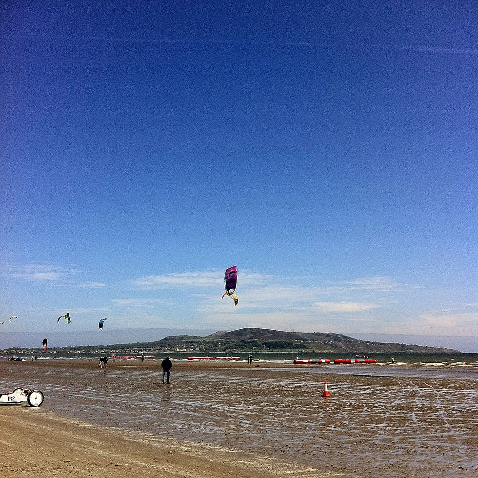 IMG_8101.JPG