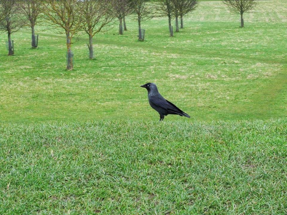 IMG_5445.JPG