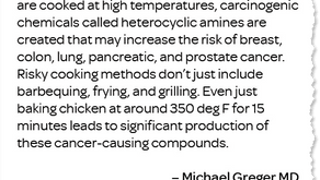 10 Tips To Improve Your Dog’s Diet Today