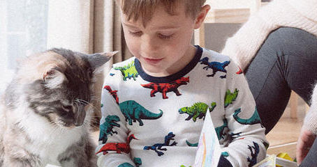 10 Tips to Keep Dogs & Cats Happy Indoors