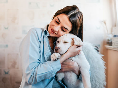 12 TIPS ON HOW TO SAVE MONEY ON PET CARE