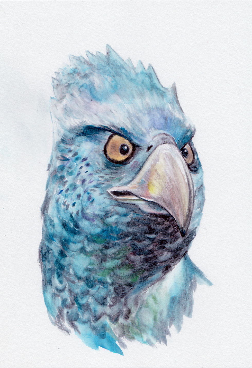 Buckbeak the Hippogriff, Watercolor