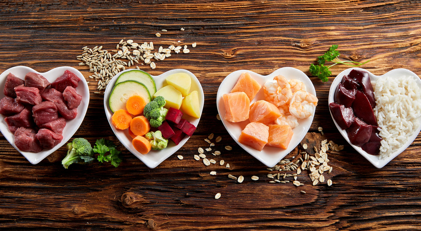Panorama banner of healthy fresh ingredients for pet food in individual heart-shaped bowls