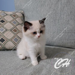 Adobe_20200921_105940