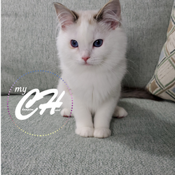 Adobe_20200207_103512