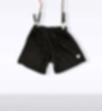 Thumbnail: Silica Shorts