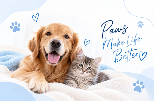 PET FOTOS GOLDEN AND CAT.png