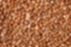 Pinto Beans
