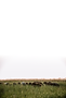 HamsterDerBildermacher-98_0,33x.png
