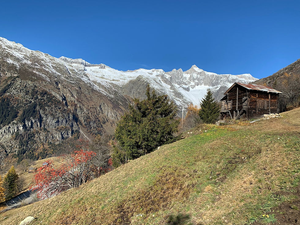 Blick auf den Gletscher