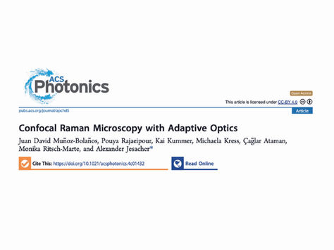 DPP Technology Enables First-Ever Adaptive Optics in Confocal Raman Microscopes