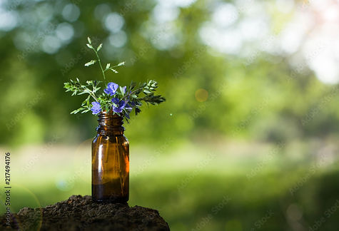 AdobeStock_217494176_blaueBlumen in flasche