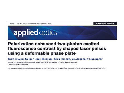 Tailored laser pulses for polarization enhanced two-photon excited fluorescence contrasts of dyes
