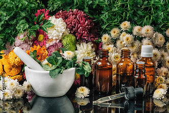 Bachblüten Lexikon